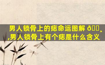 男人锁骨上的痣命运图解 🕸 ,男人锁骨上有个痣是什么含义